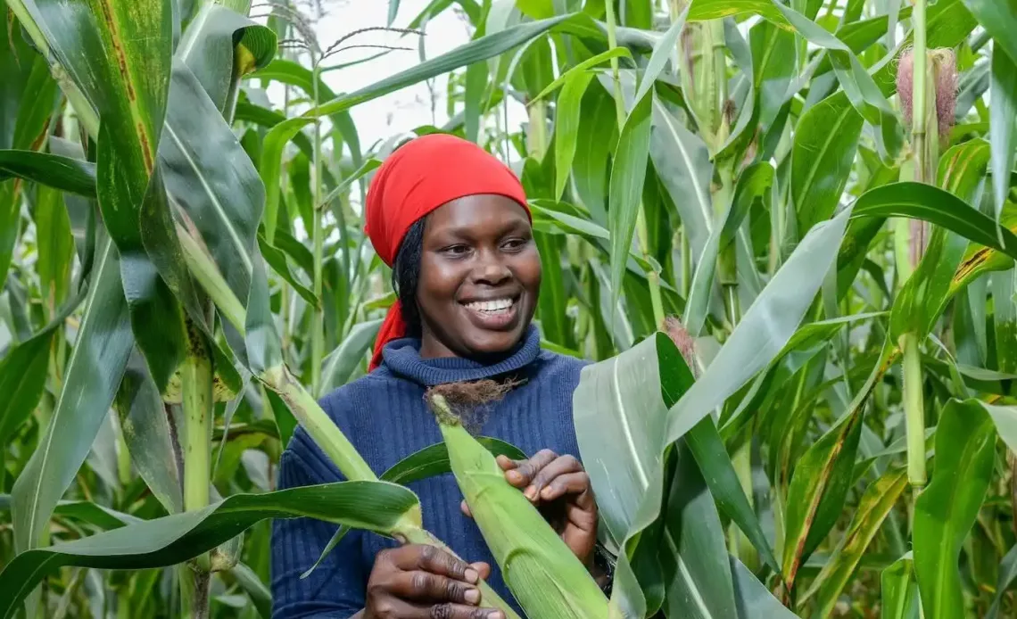 Apollo Agriculture kenya